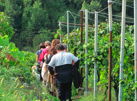 I partecipanti alla passeggiata Candiamangialonga nei dintorni di Massa