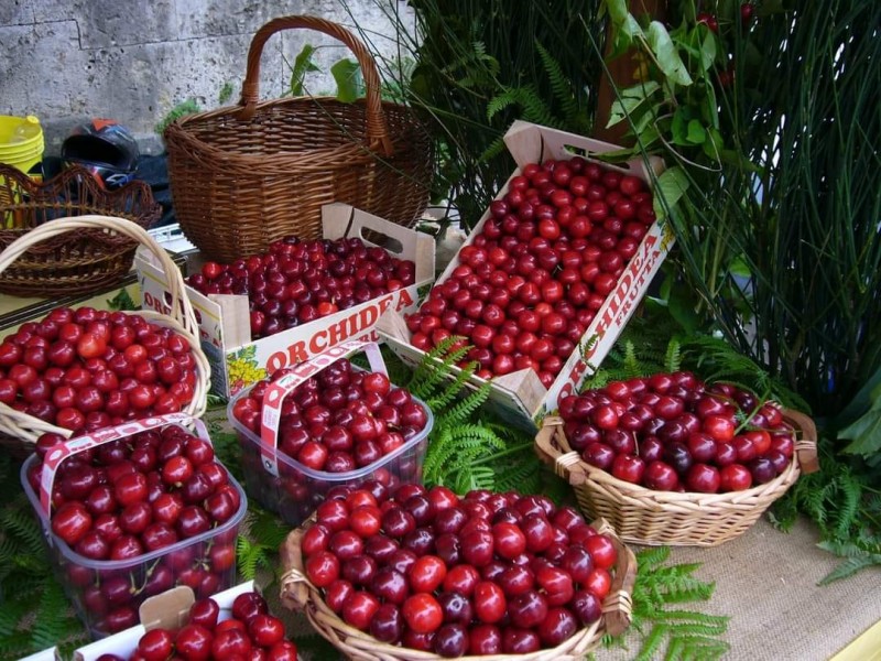 Un banco del mercato delle ciliegie di Lari