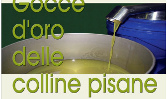 Gocce d’Oro delle Colline Pisane