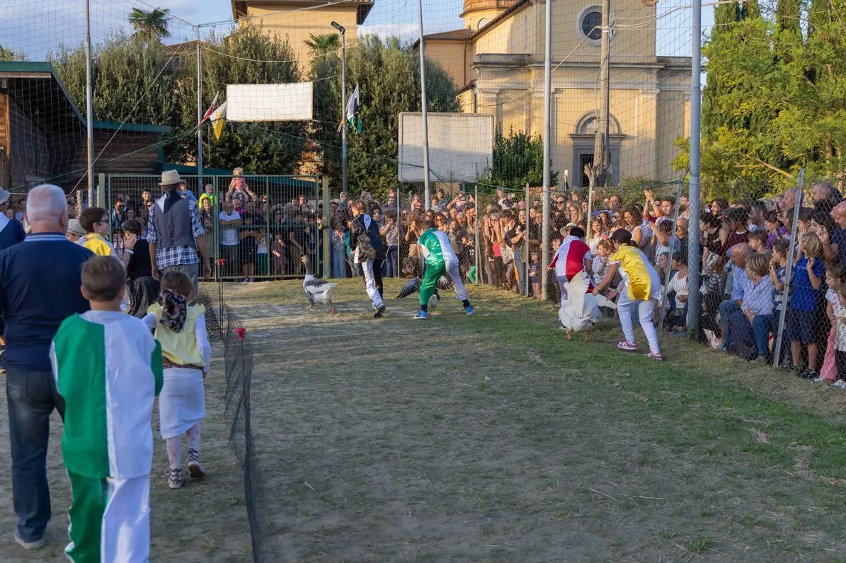 Palio del Papero a Balconevisi