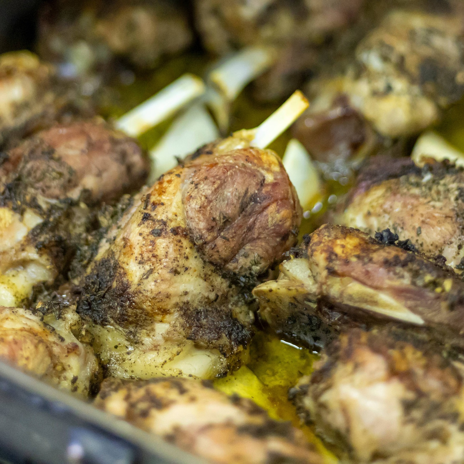 Pianeta Ripa a Riparbella