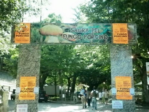 Ingresso della Sagra del Fungo Porcino di Cortona