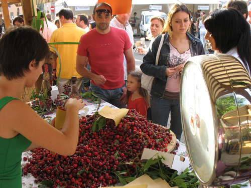 Il mercato delle ciliegie a Lari