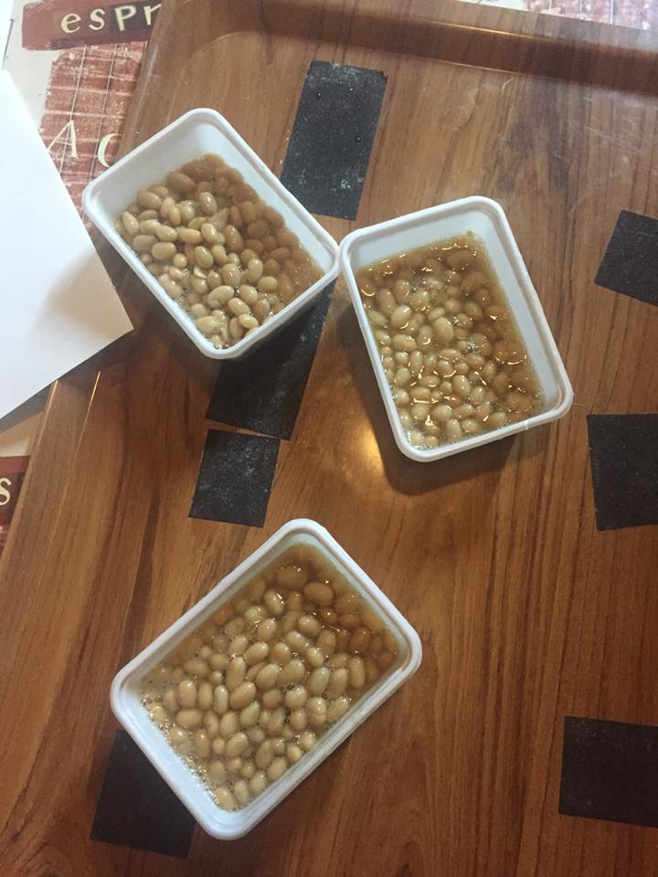 Sagra del fagiolo zolfino