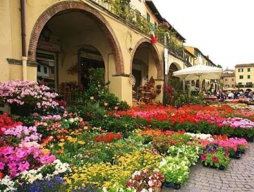 Mostra Mercato Piante e Fiori