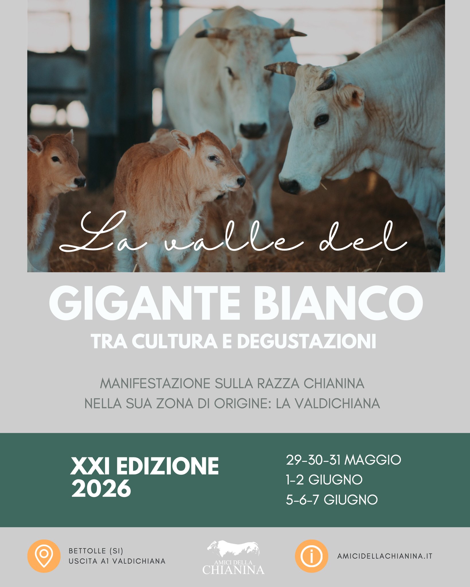 La Valle del Gigante Bianco