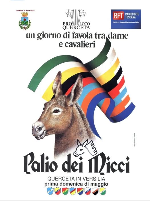 Palio dei Micci