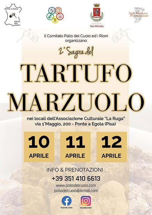 Sagra del tartufo marzuolo