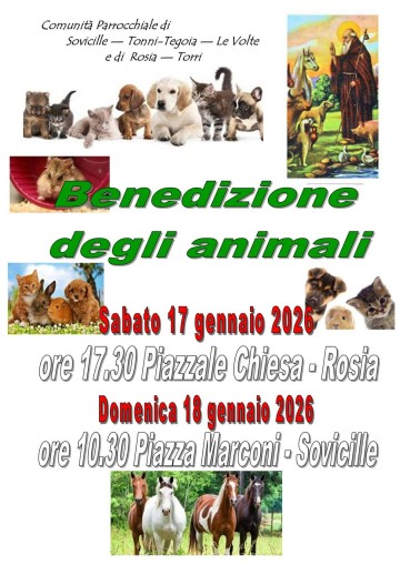 Benedizione degli animali