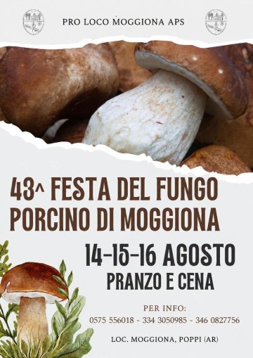 Festa del Fungo Porcino