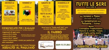 Festa nell'aia