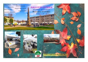 Galluzzo in fiera