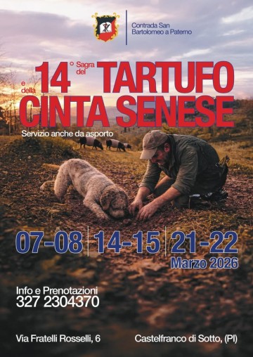 Sagra del Tartufo Marzuolo e della Cinta Senese
