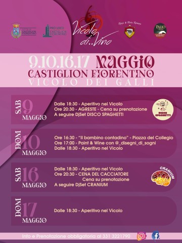 Il Vicolo di... Vino